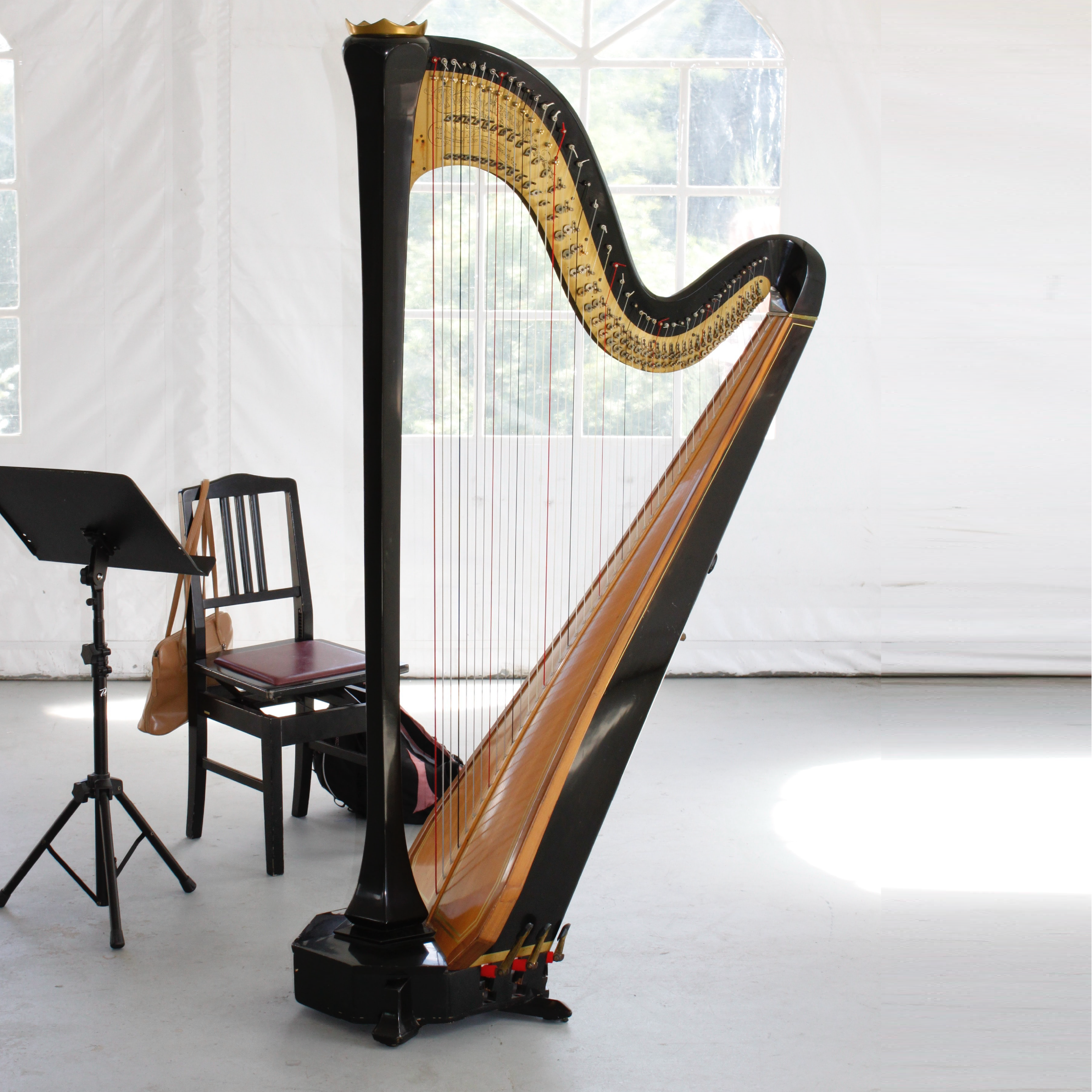Harp