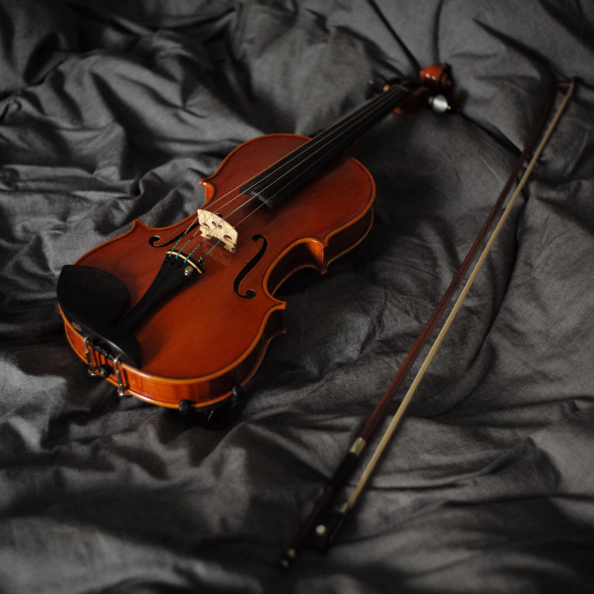 Violin